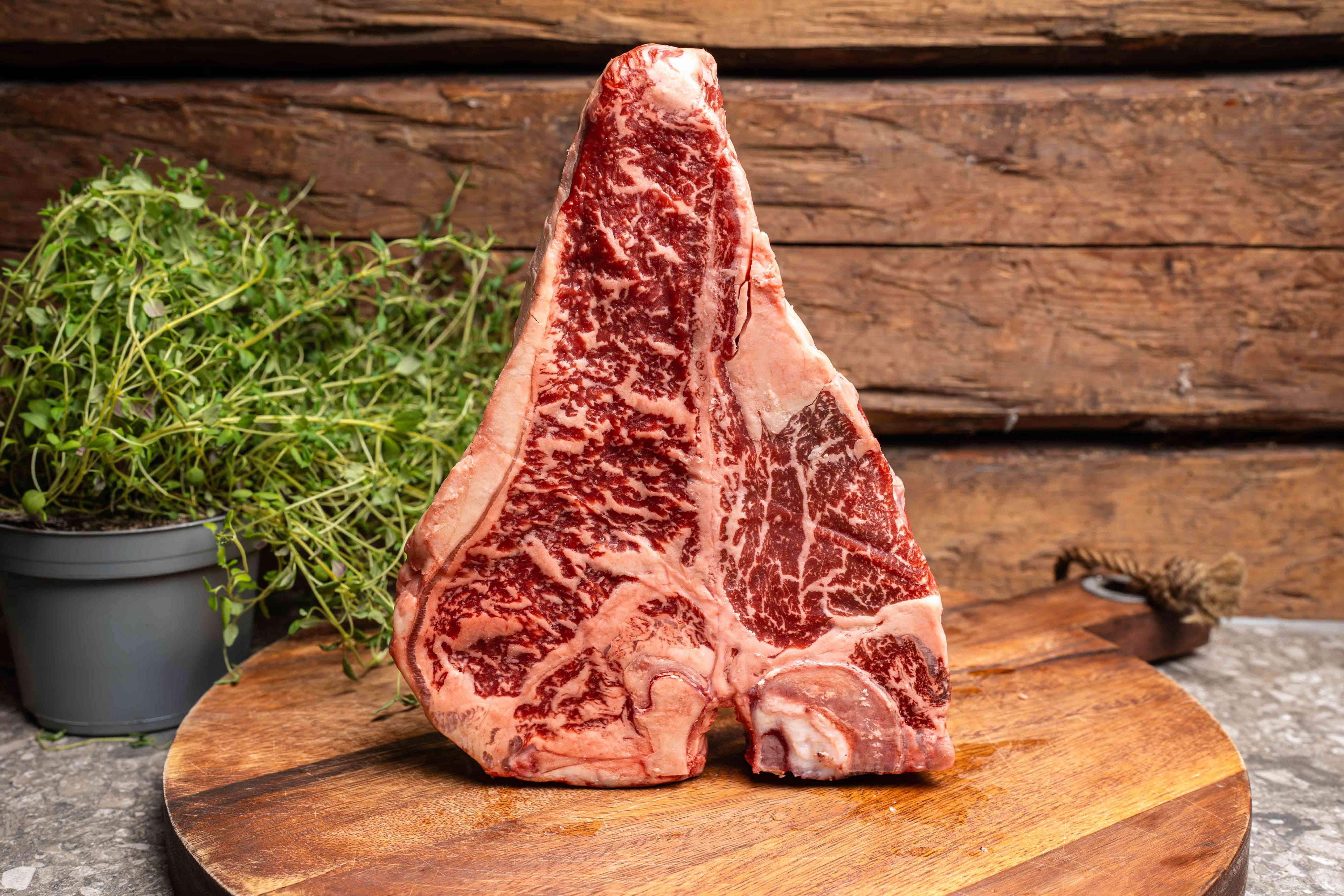 Wagyu T-Bone Sverige