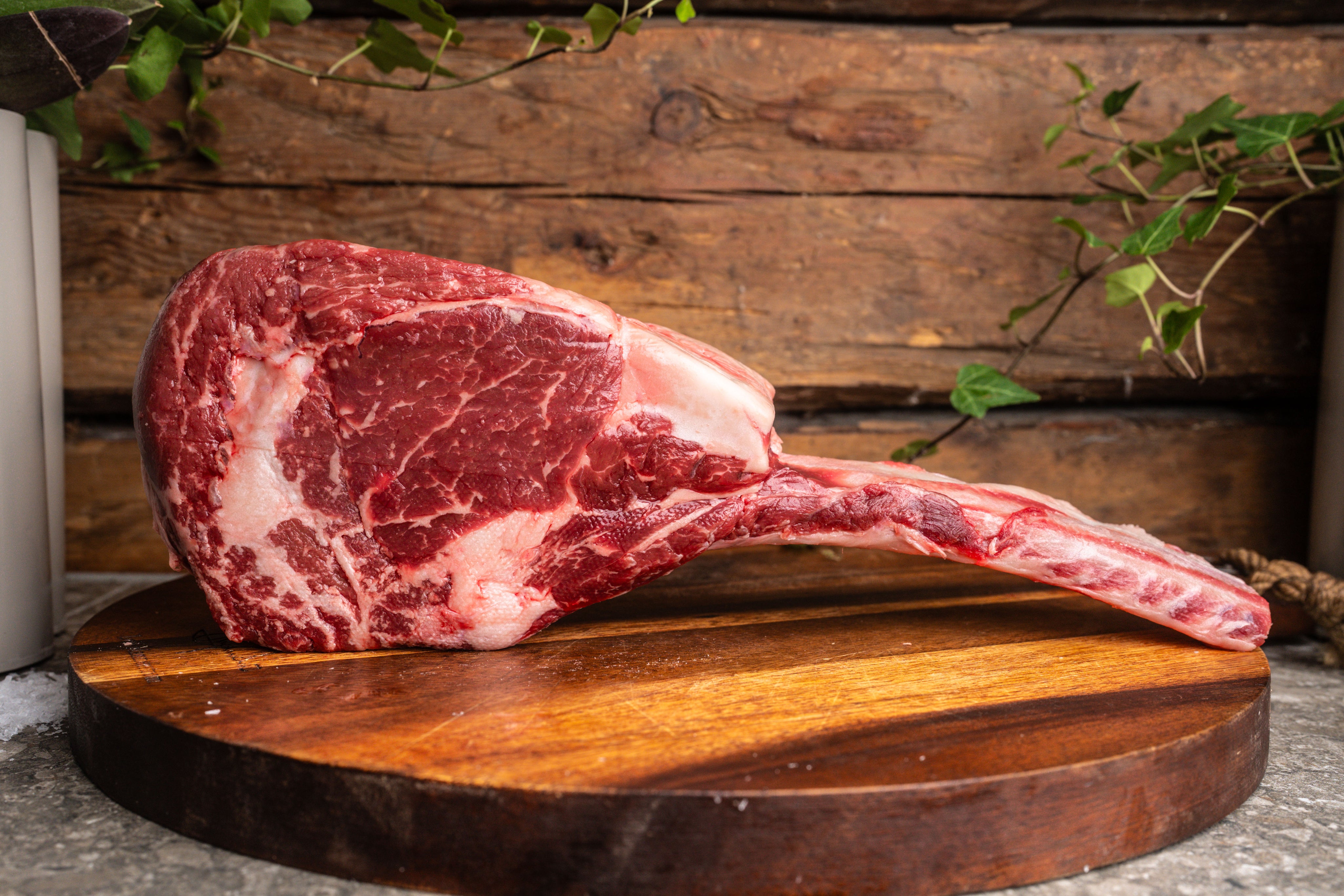 Tomahawk
